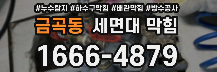 금곡동 세면대 막힘