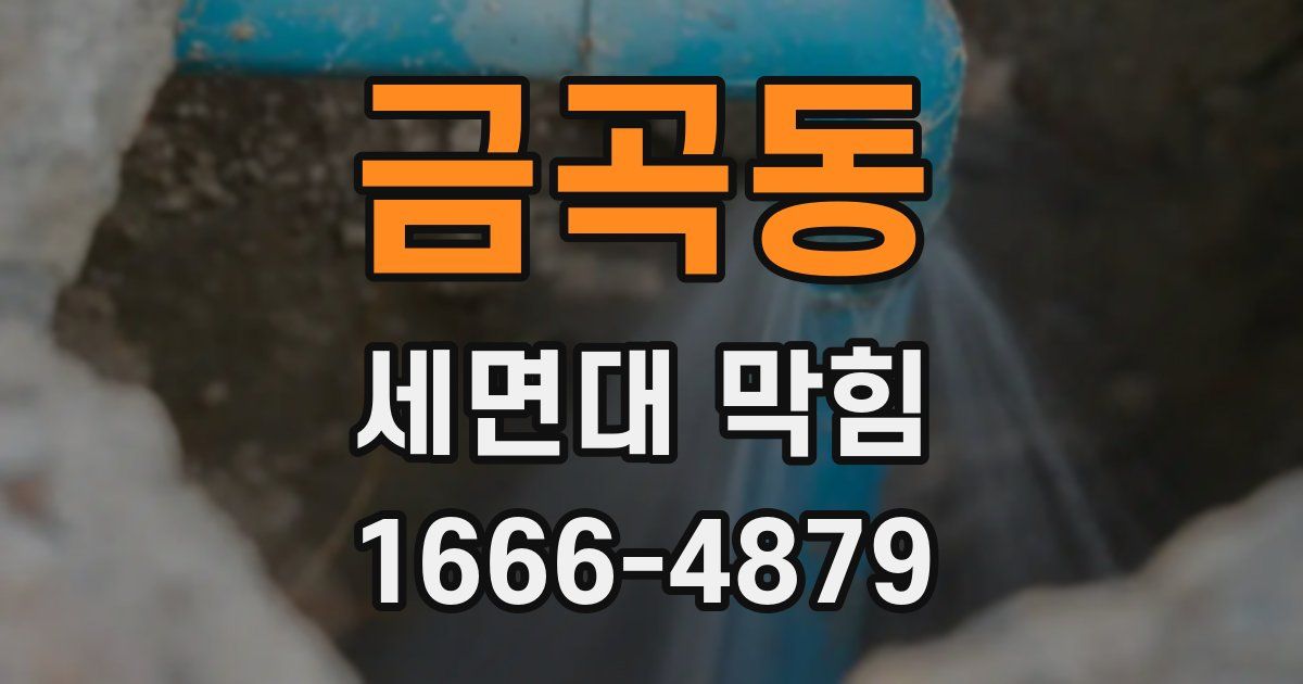 금곡동 세면대 막힘