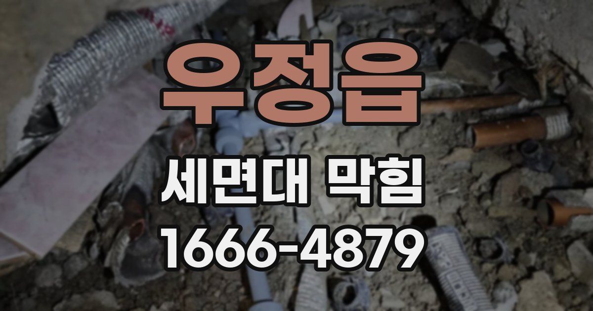 우정읍 세면대 막힘