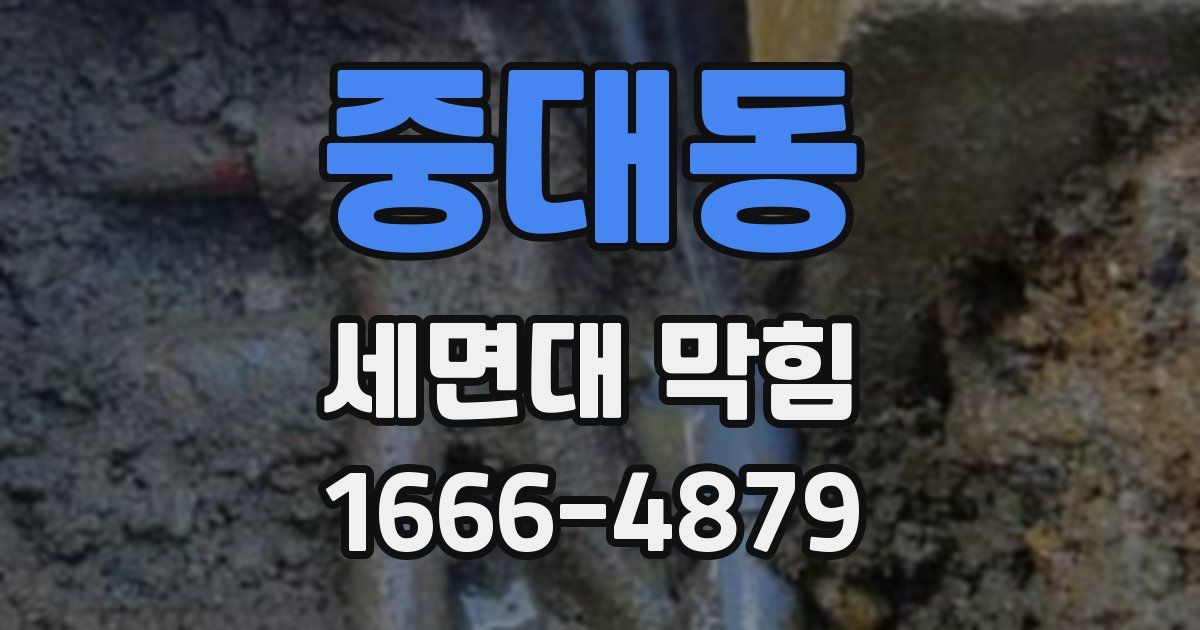 중대동 세면대 막힘