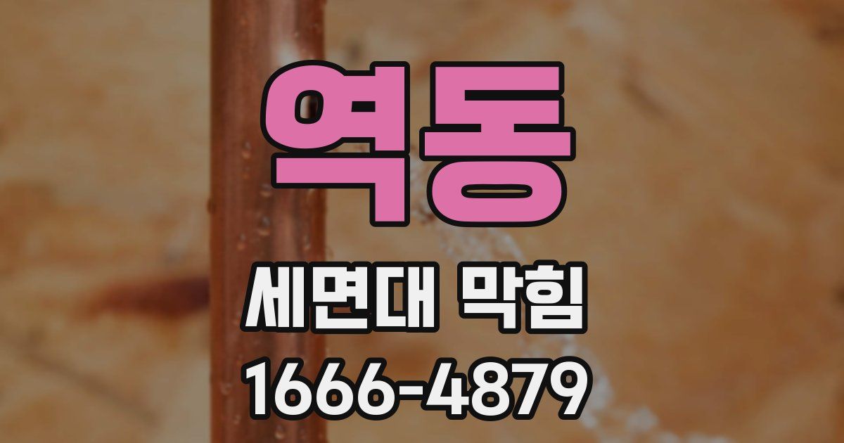역동 세면대 막힘