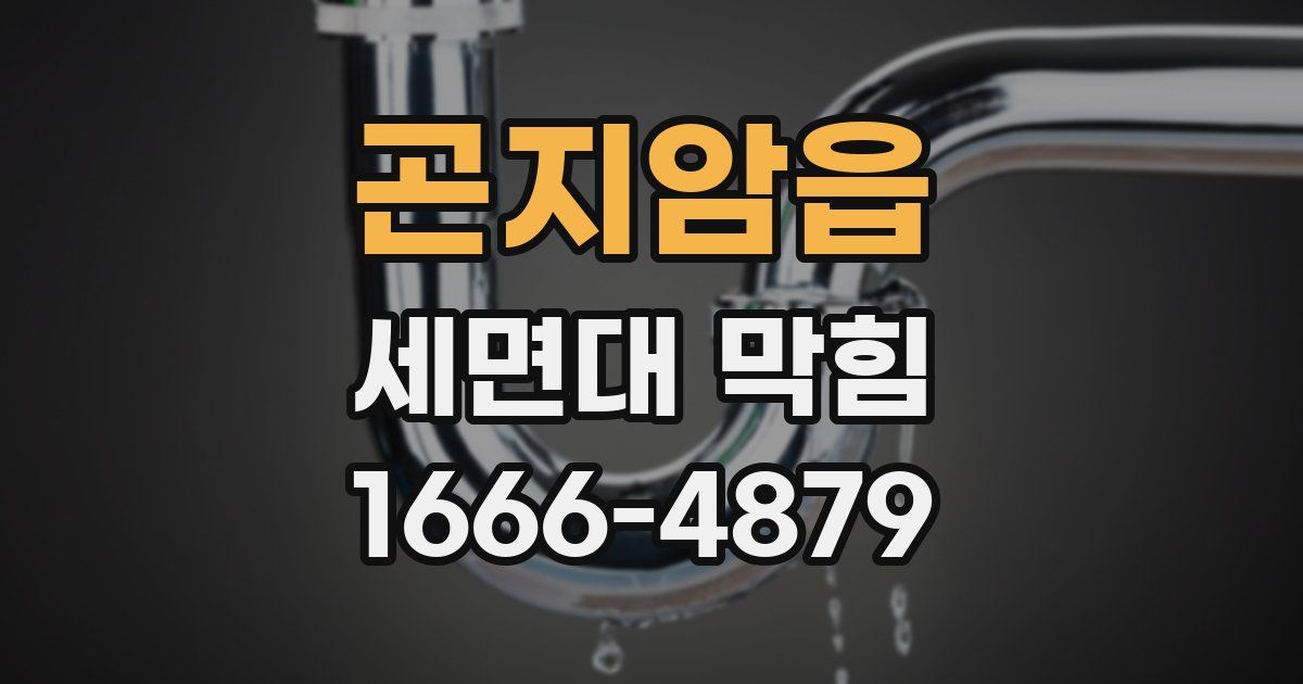 곤지암읍 세면대 막힘