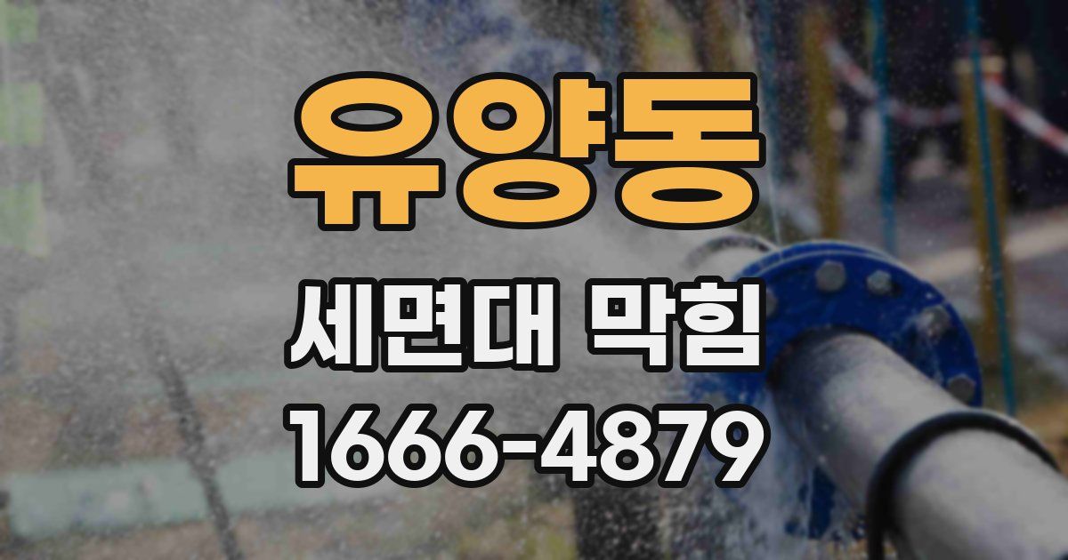 유양동 세면대 막힘