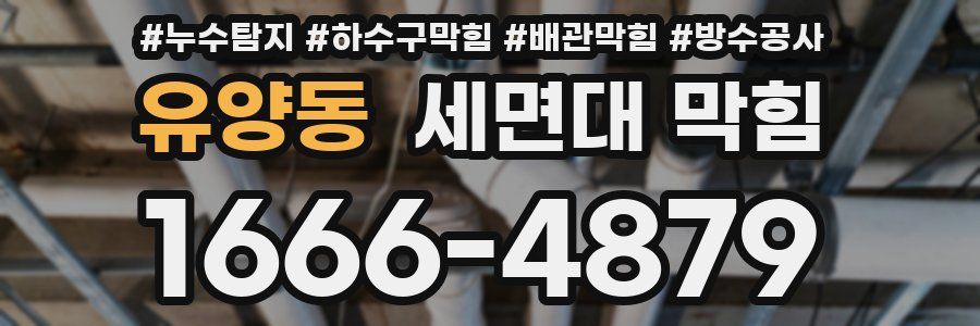 유양동 세면대 막힘