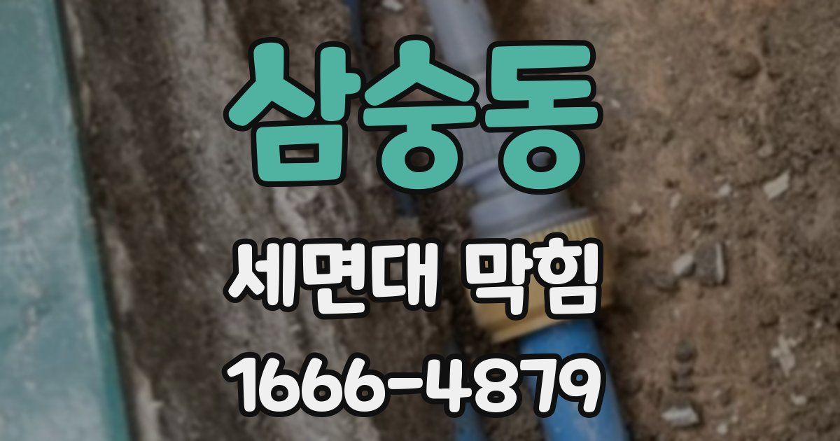 삼숭동 세면대 막힘