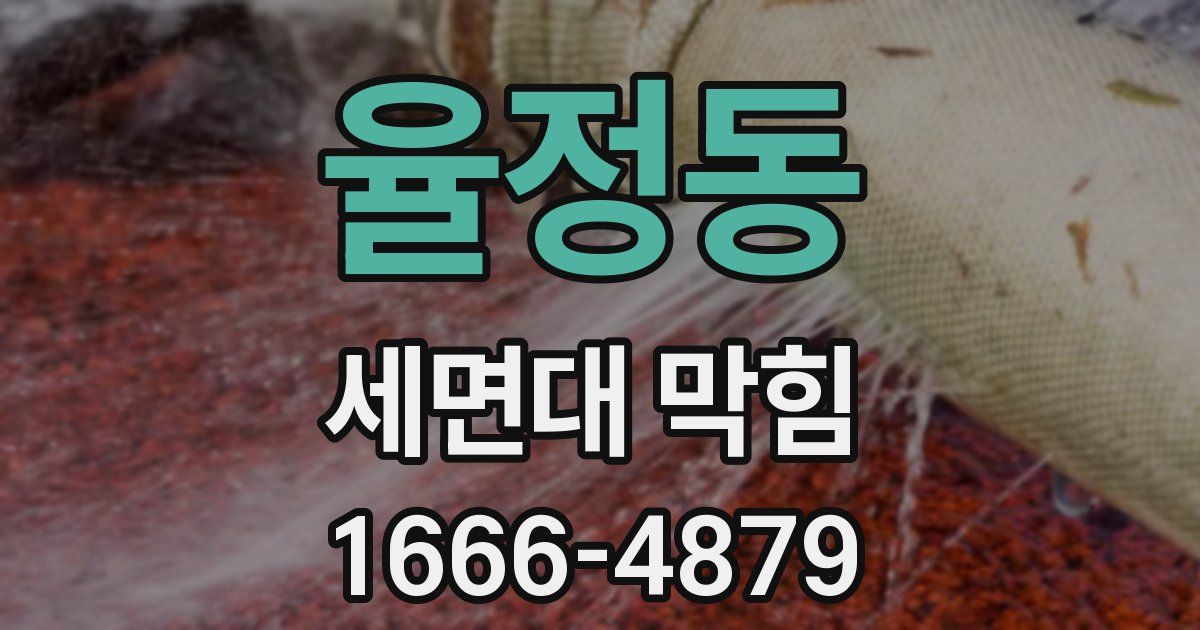 율정동 세면대 막힘