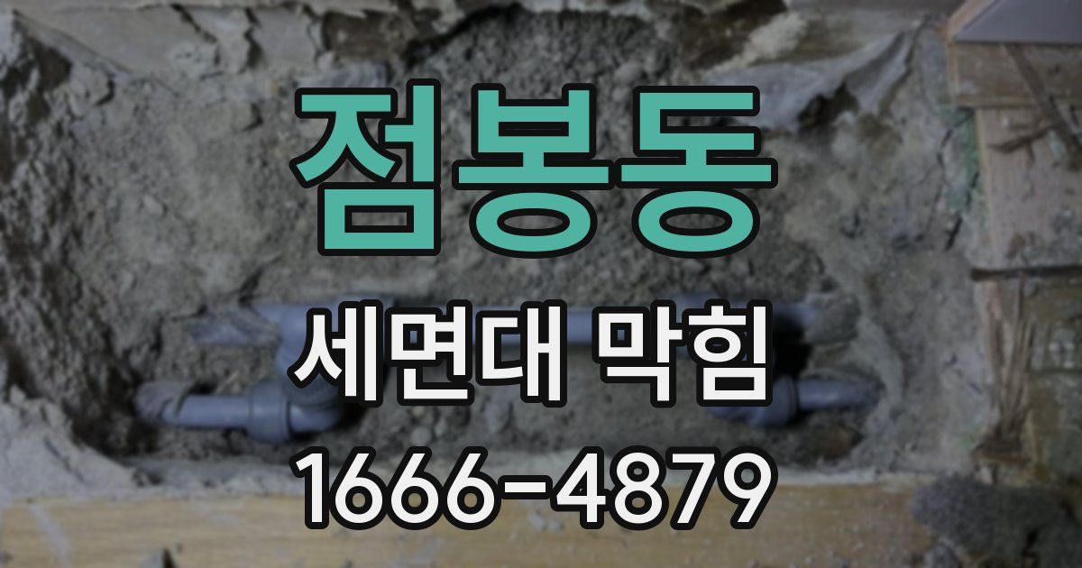 점봉동 세면대 막힘