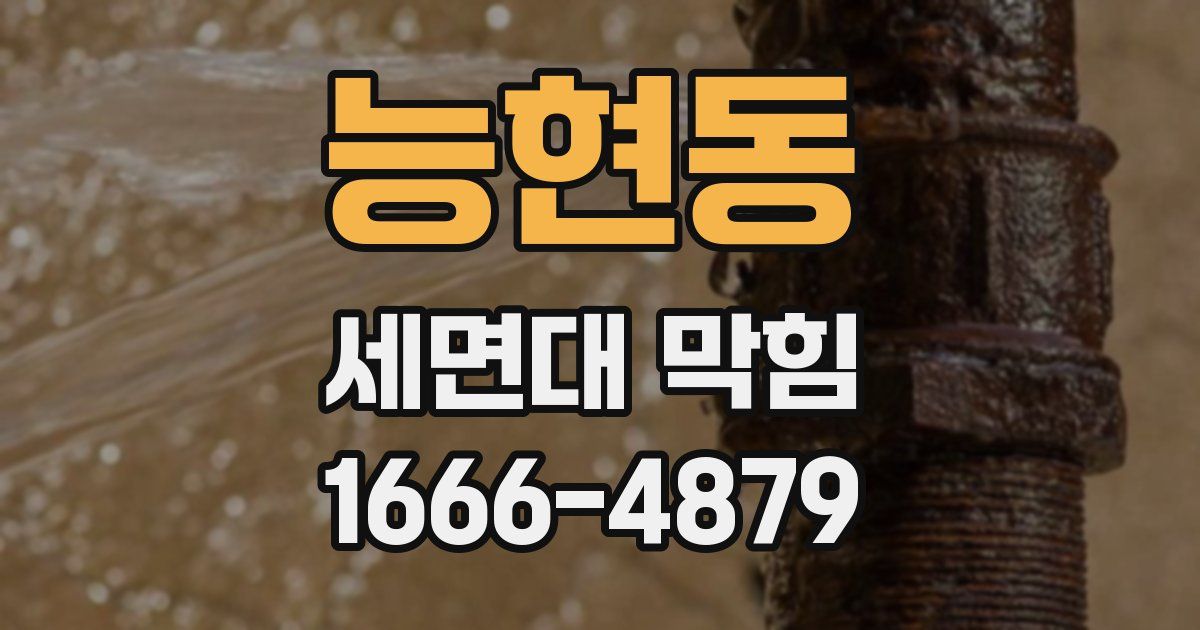 능현동 세면대 막힘
