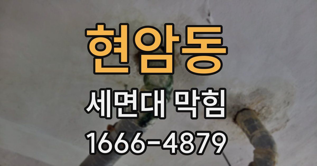 현암동 세면대 막힘