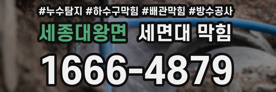세종대왕면 세면대 막힘