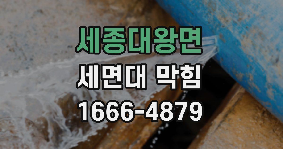 세종대왕면 세면대 막힘