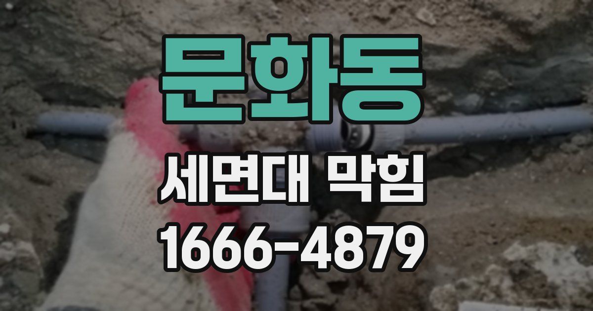 문화동 세면대 막힘