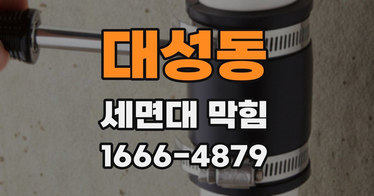 대성동 세면대 막힘