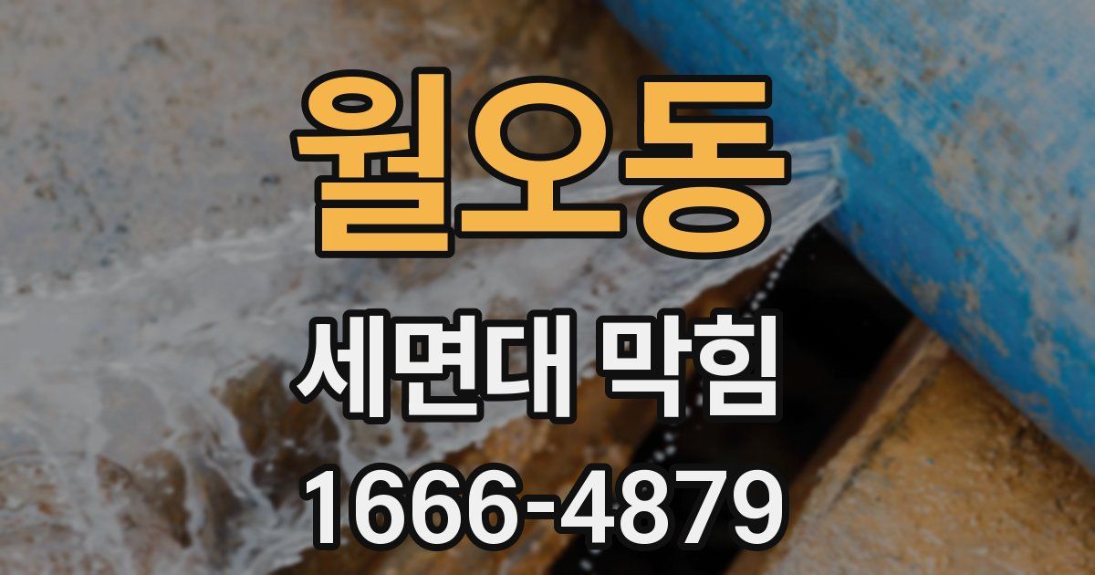 월오동 세면대 막힘
