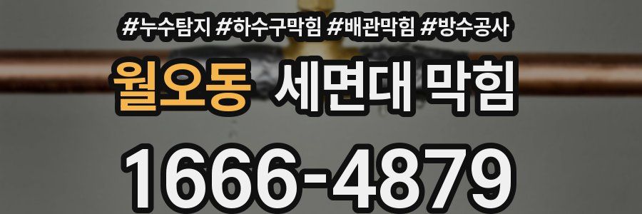 월오동 세면대 막힘