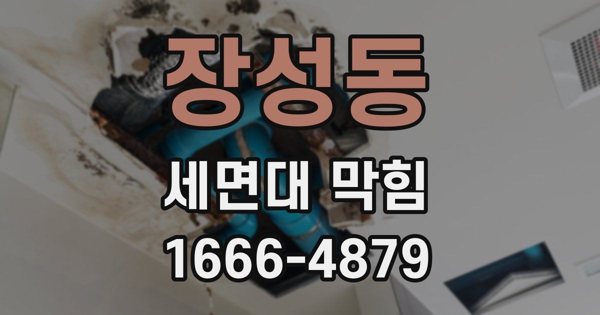 장성동 세면대 막힘