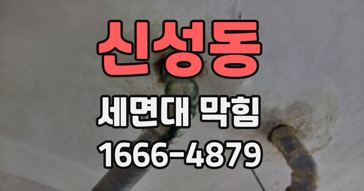 신성동 세면대 막힘