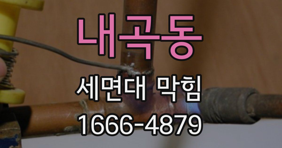 내곡동 세면대 막힘
