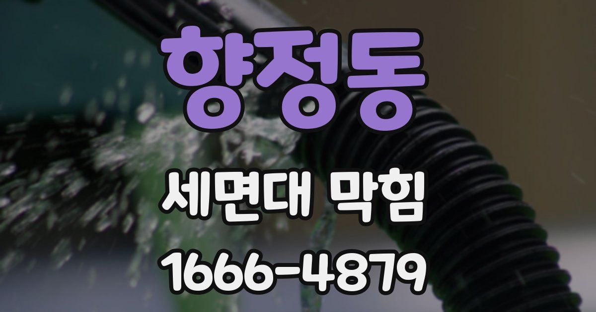 향정동 세면대 막힘
