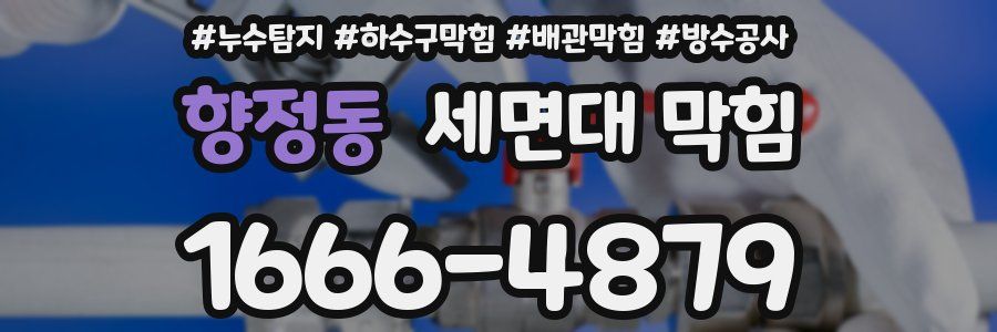 향정동 세면대 막힘