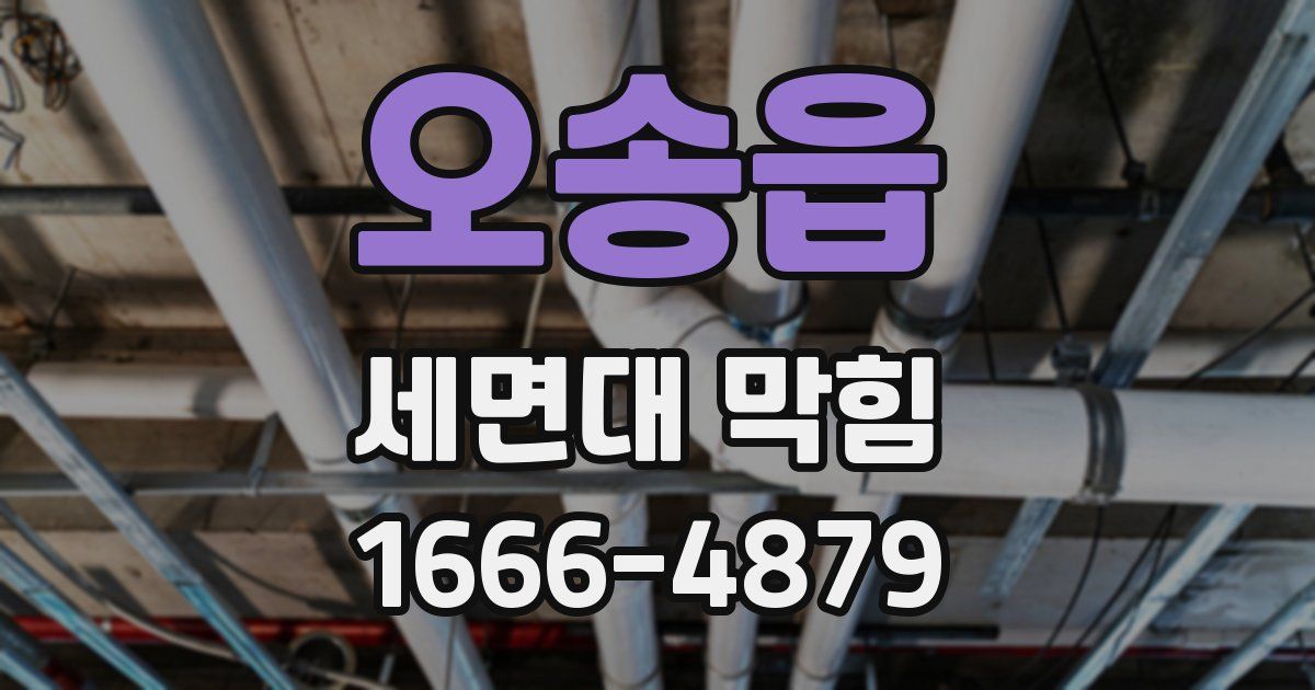 오송읍 세면대 막힘