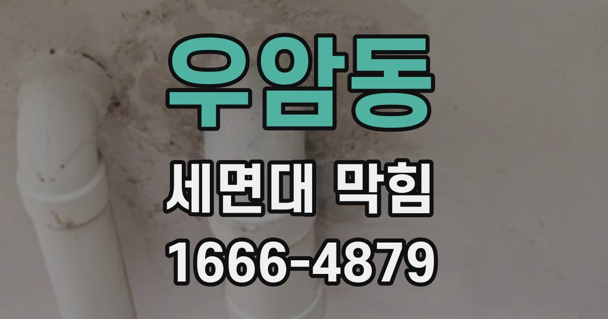 우암동 세면대 막힘