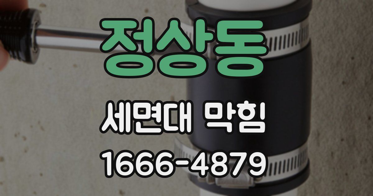 정상동 세면대 막힘