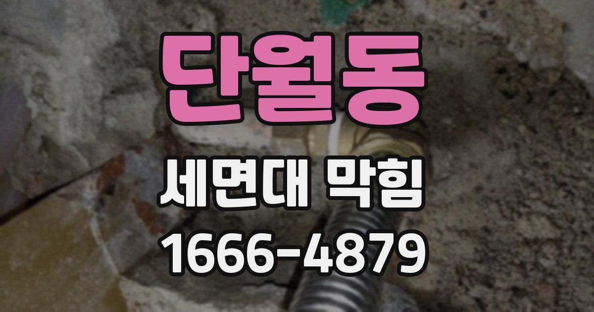 단월동 세면대 막힘