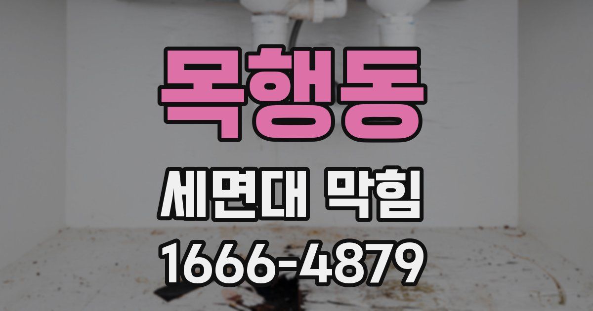 목행동 세면대 막힘
