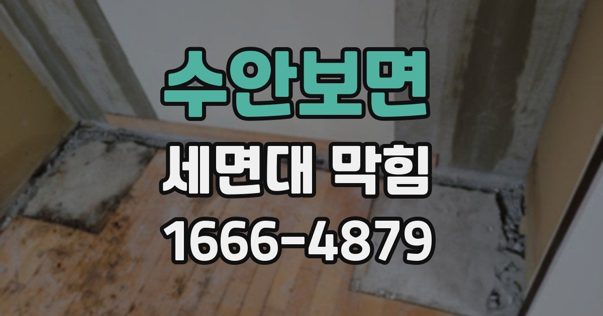 수안보면 세면대 막힘