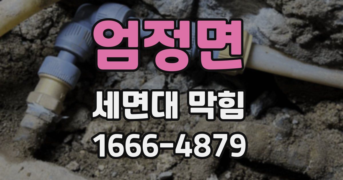 엄정면 세면대 막힘