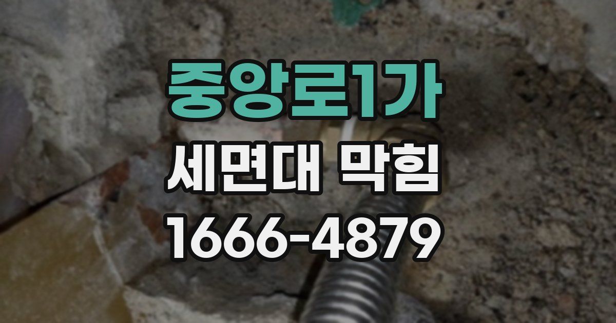 중앙로1가 세면대 막힘