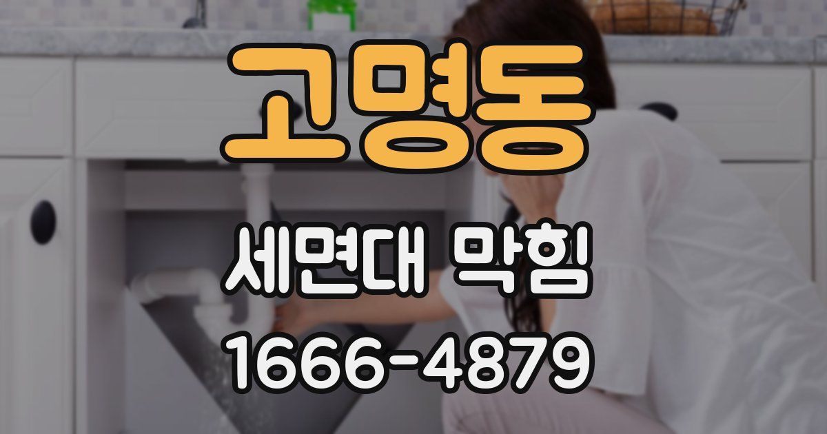 고명동 세면대 막힘
