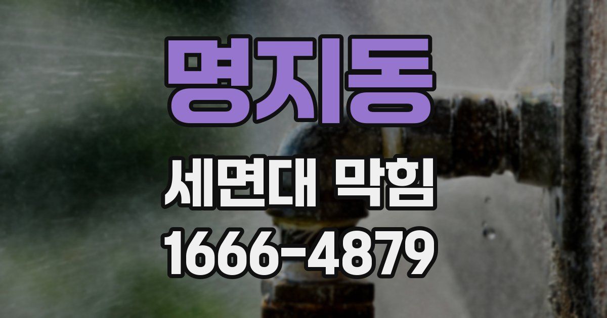 명지동 세면대 막힘