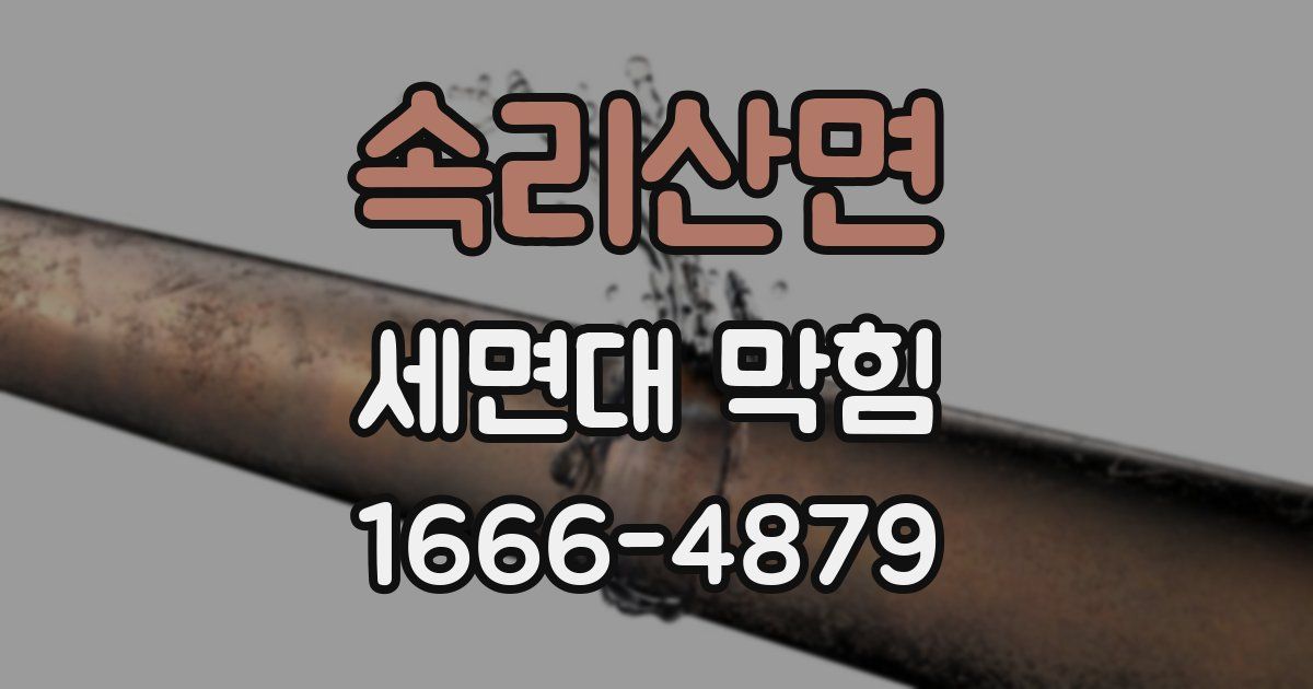 속리산면 세면대 막힘