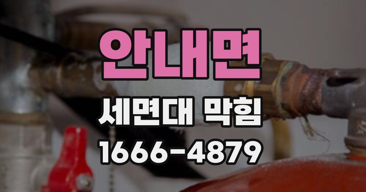 안내면 세면대 막힘