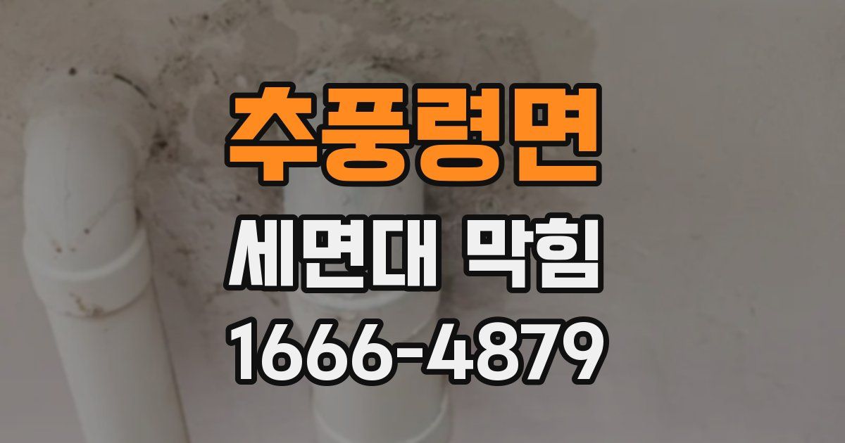 추풍령면 세면대 막힘