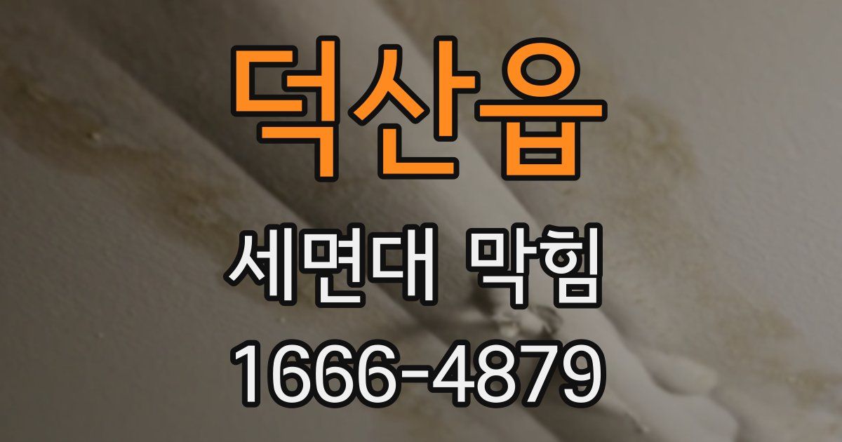 덕산읍 세면대 막힘
