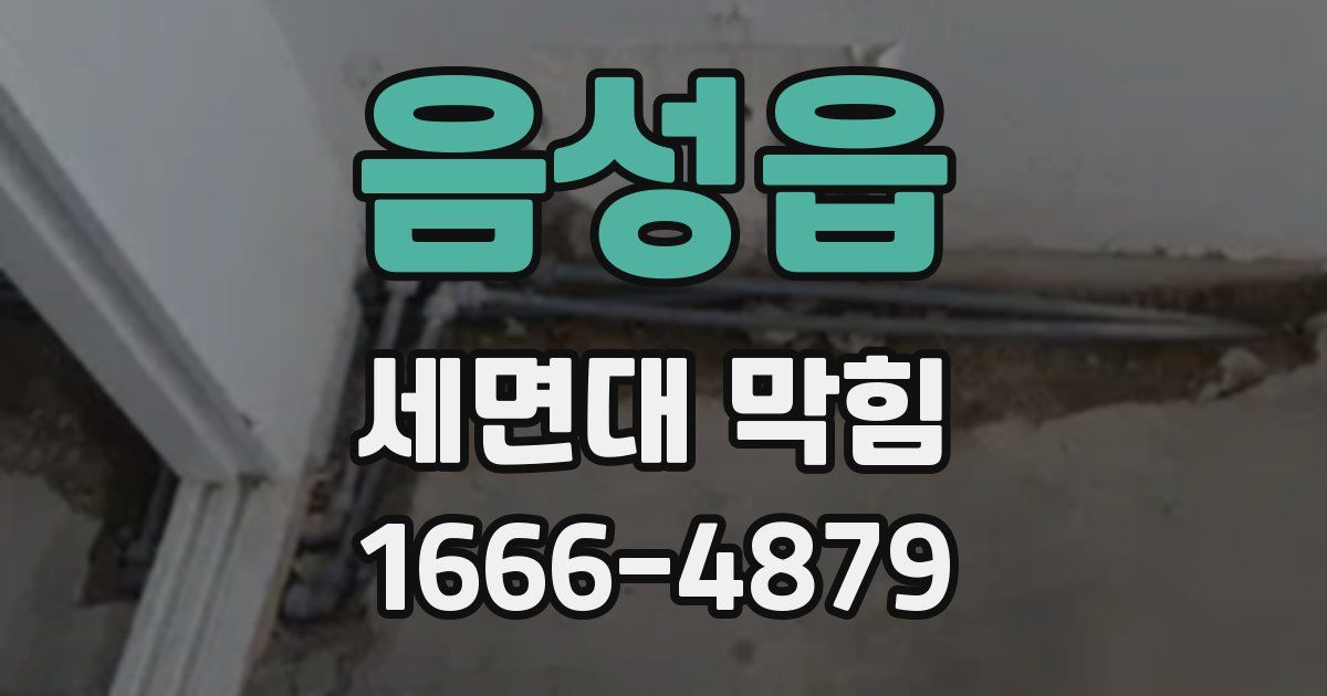 음성읍 세면대 막힘