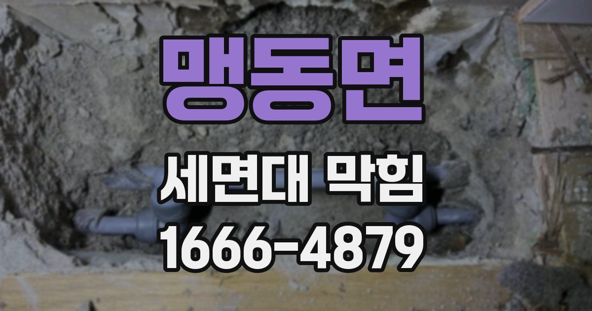 맹동면 세면대 막힘