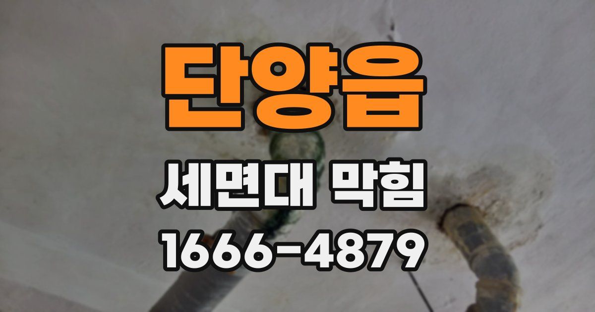단양읍 세면대 막힘