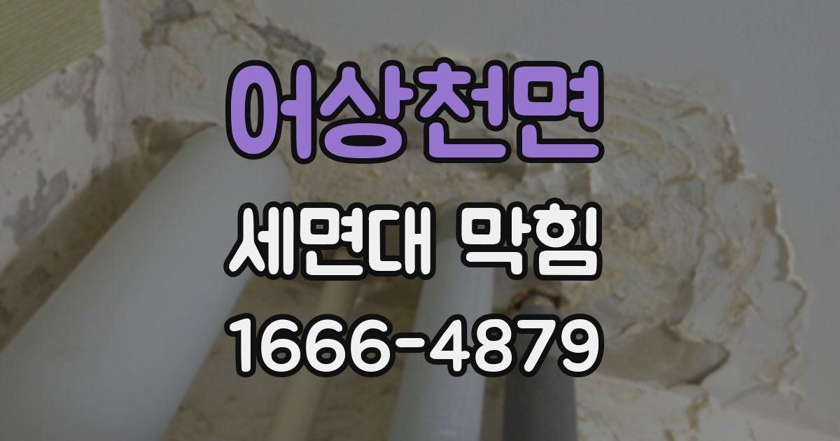 어상천면 세면대 막힘
