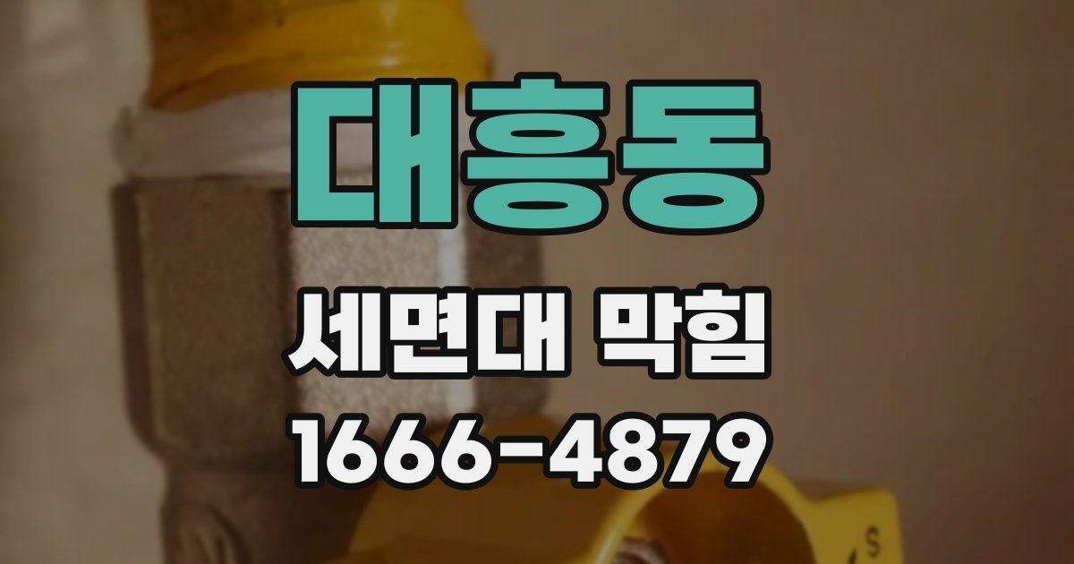 대흥동 세면대 막힘