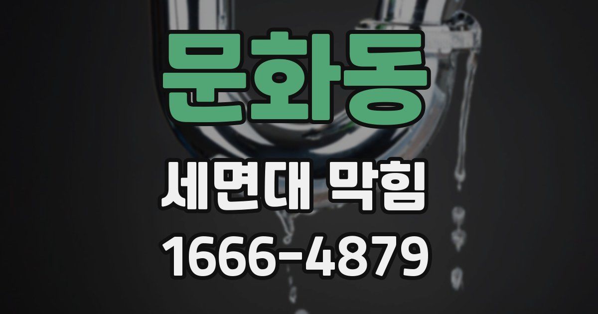 문화동 세면대 막힘