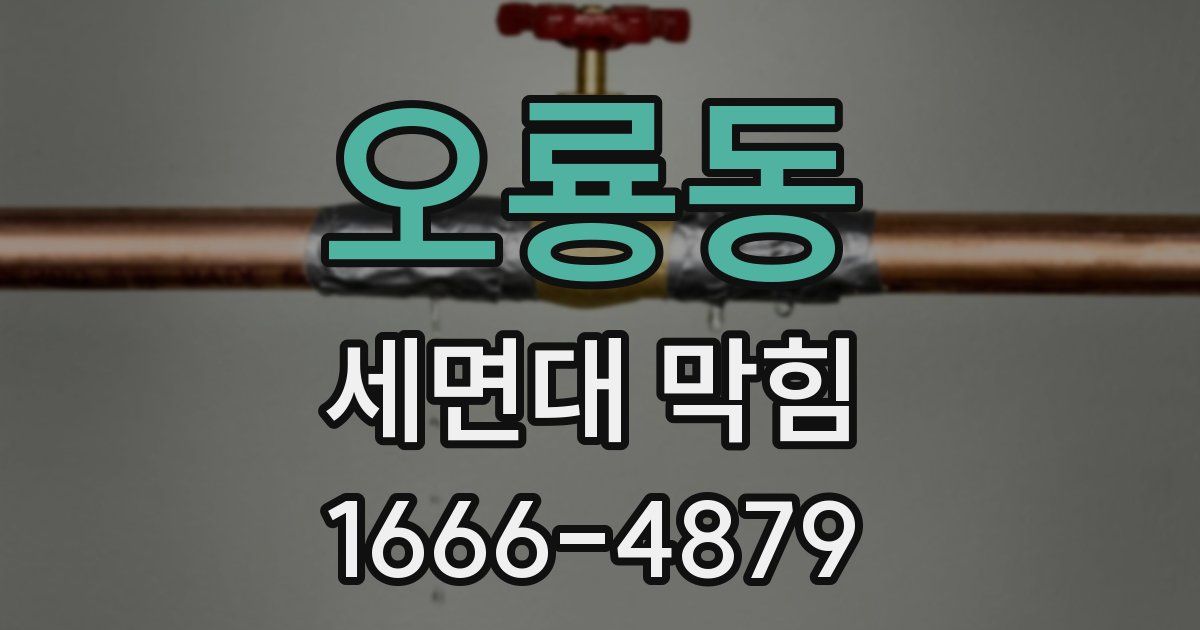 오룡동 세면대 막힘