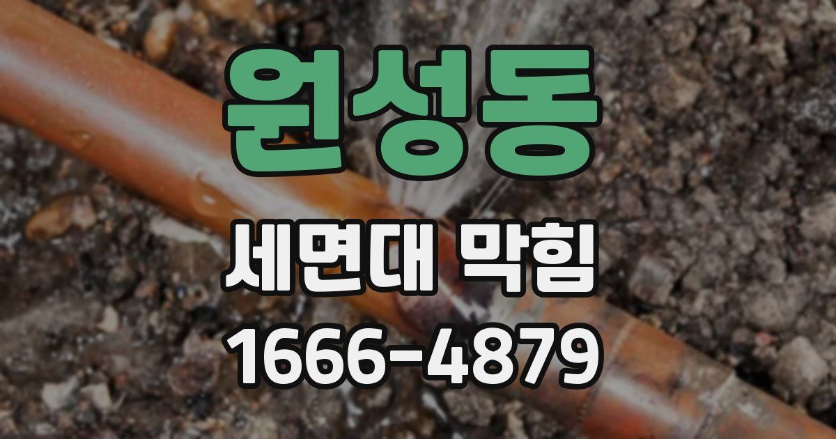 원성동 세면대 막힘
