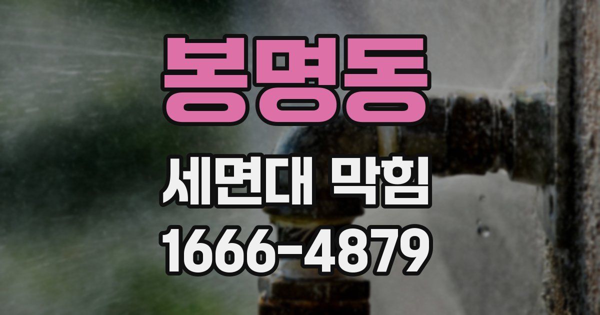 봉명동 세면대 막힘