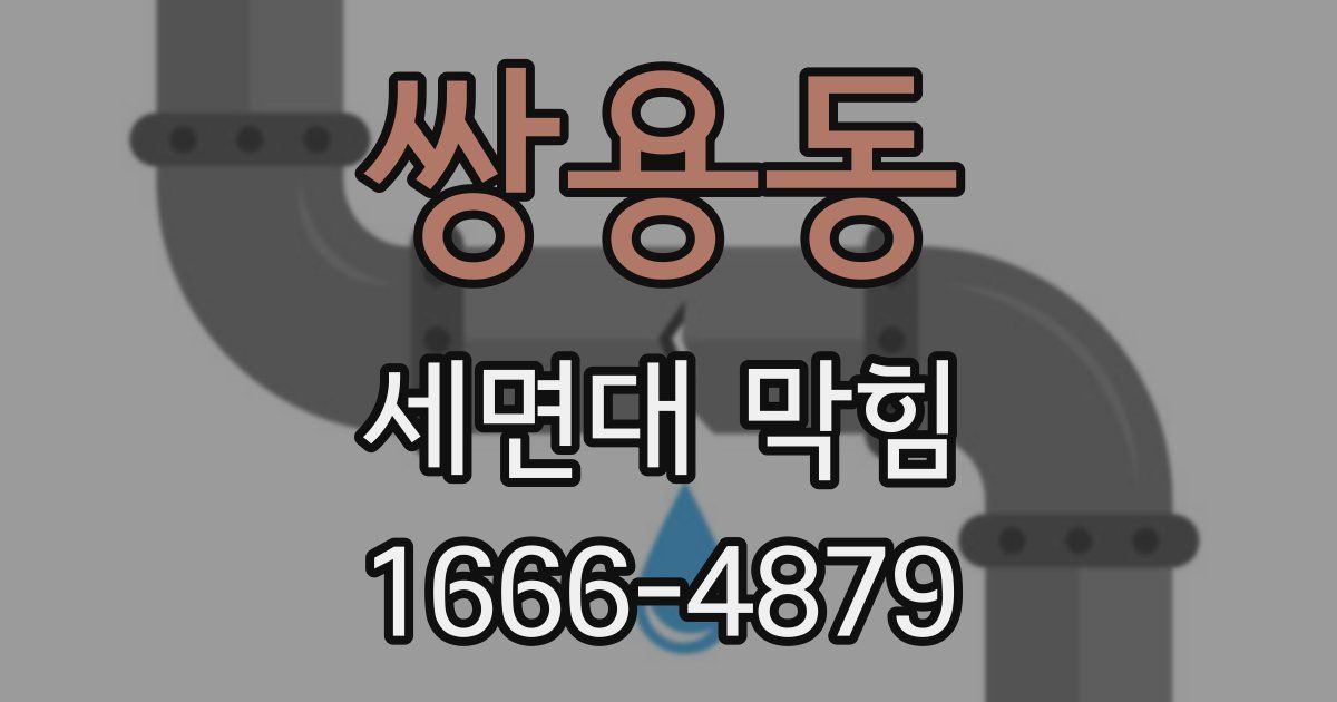쌍용동 세면대 막힘