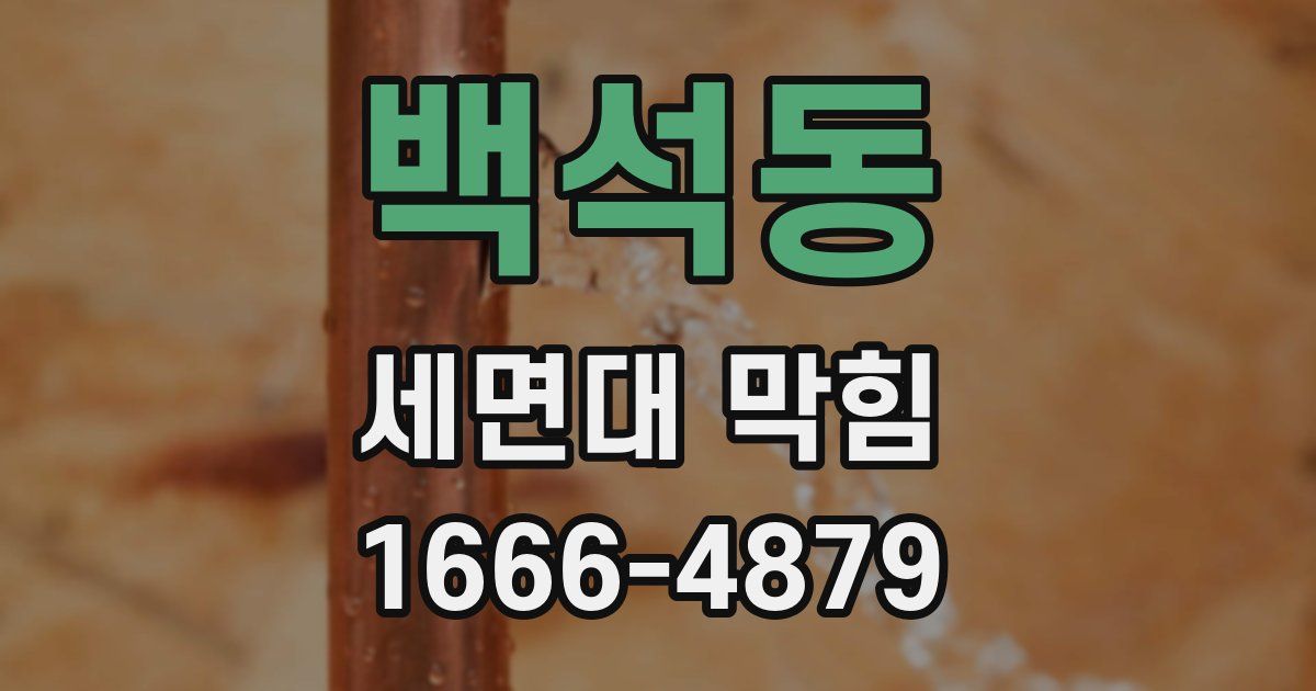백석동 세면대 막힘