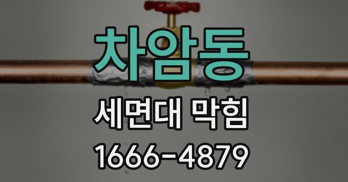 차암동 세면대 막힘